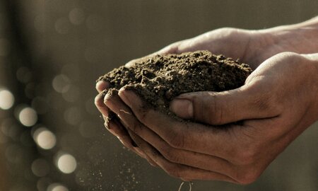 New Bacterial Battery Harvests Energy From the Soil to Recharge