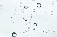 Can Studying Bubbles Lead to More Efficient Biofuel?