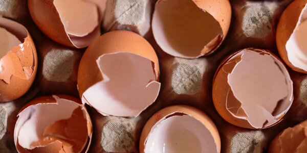 Could Eggshells Be the Solution for Greener Rare Earth Element Recovery?