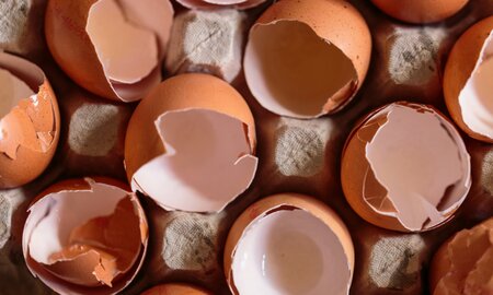 Could Eggshells Be the Solution for Greener Rare Earth Element Recovery?