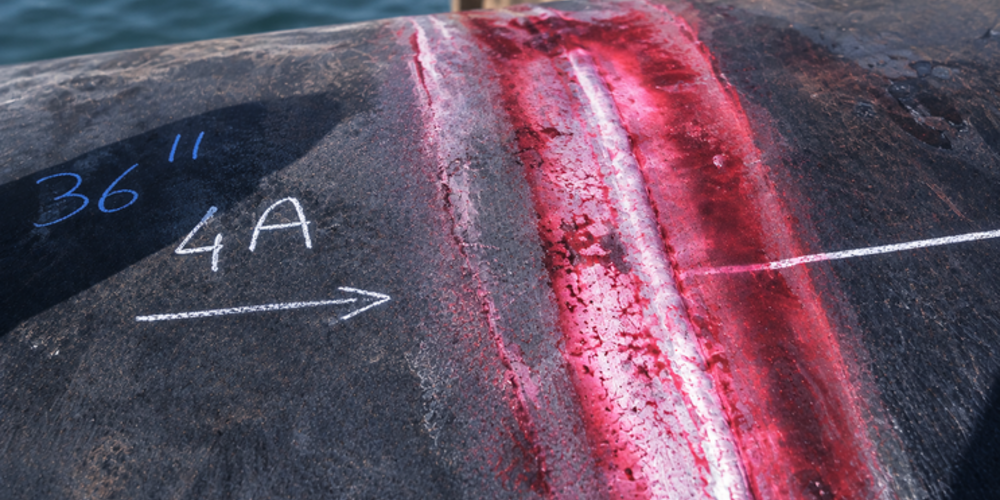 What Is Dye Penetrant Testing & Inspection? What You Need to Know