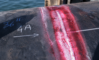What Is Dye Penetrant Testing & Inspection? What You Need to Know