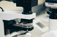 Researchers Explore Electrochemical Ozone Production on a Molecular Level