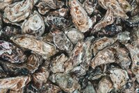 Freshwater Oysters Hold the Key to Stronger, Greener Adhesives