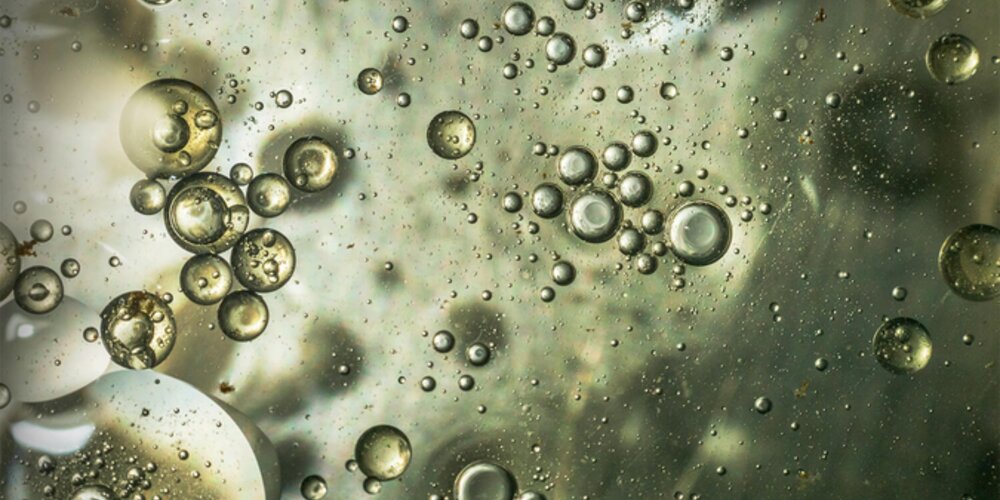 Scientists Develop Breakthrough Method to Trap and Destroy “Forever Chemicals”