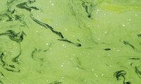 Scientists Test UV Glass to Disrupt Biofilm Formation in Water