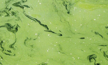 Scientists Test UV Glass to Disrupt Biofilm Formation in Water