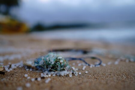 A small amount of clear microplastics washed up on a sandy beach.