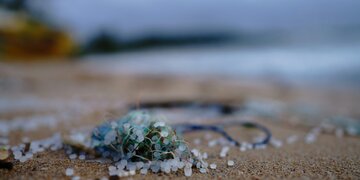 A small amount of clear microplastics washed up on a sandy beach.