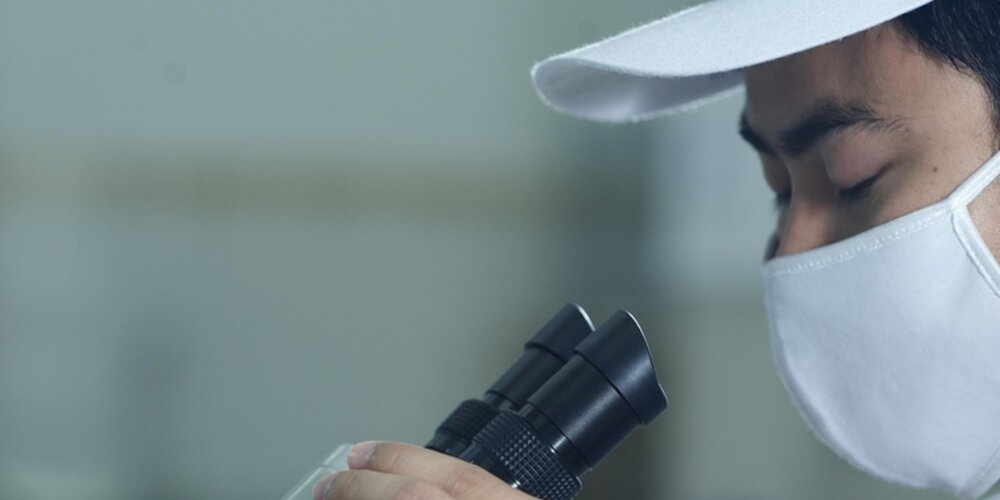 What Is Scanning Electron Microscopy?