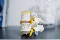 Princeton University Engineers Tough Concrete Inspired by Human Bone