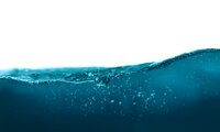 Scientists Discover 'Superhydrophobic' Surfaces