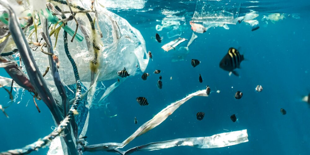 Researchers Find an Innovative New Use For Plastic Waste