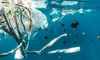 Researchers Find an Innovative New Use For Plastic Waste