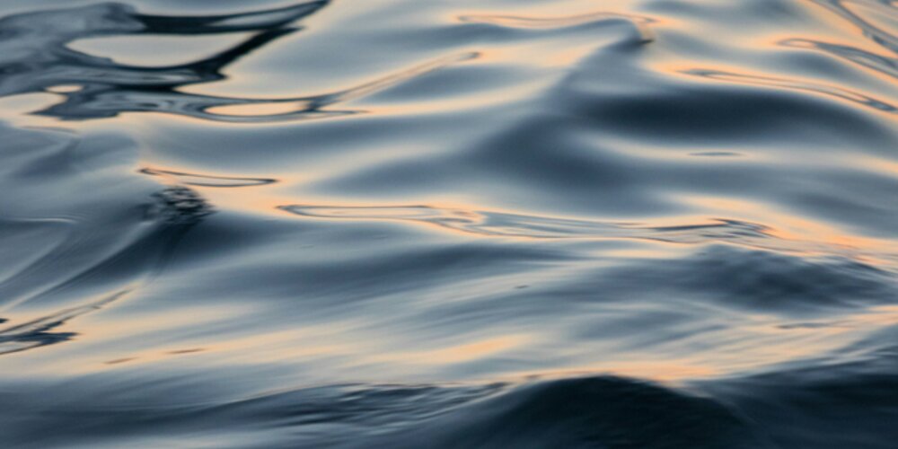 WaveRoller Technology Soon to Become Operational